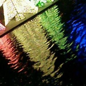 Meet your Posher, Jarred